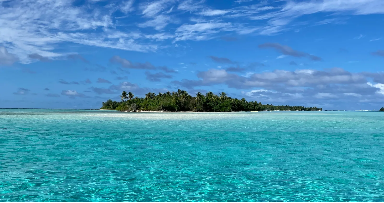 quick-quiz-july-22nd-take-the-quiz-quizmaker